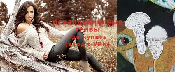 дурь Лиски