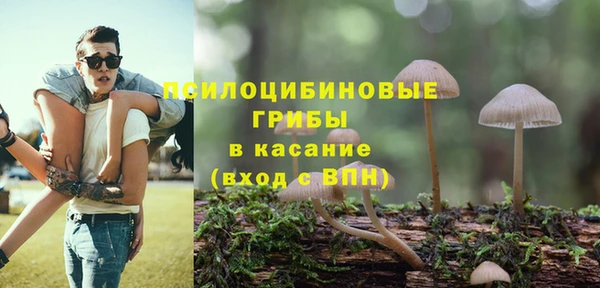 дурь Лиски