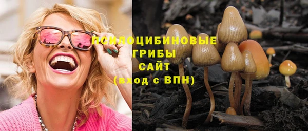 СК Липки