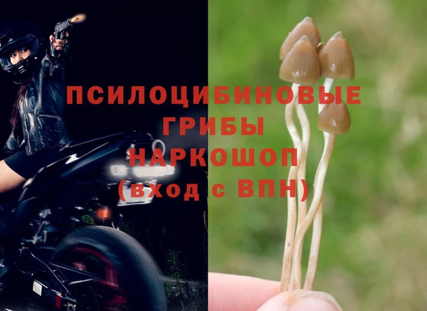 СК Липки