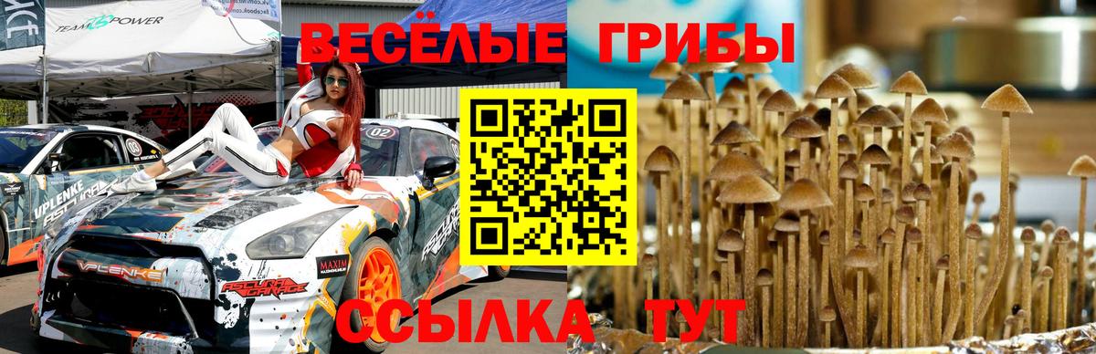 Псилоцибиновые грибы Psilocybine cubensis  Вход с VPN  Галлюциногенные грибы Psilocybine cubensis  Ухта 
